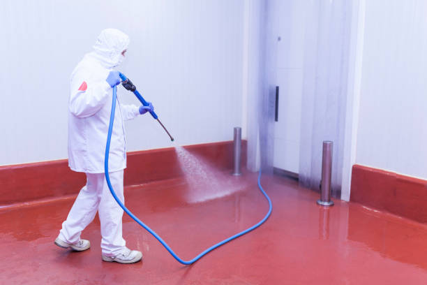 Professional  Pressure Washing Services in North Cape May, NJ